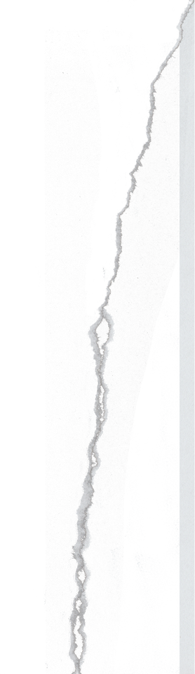 Ripped Paper Line Texture